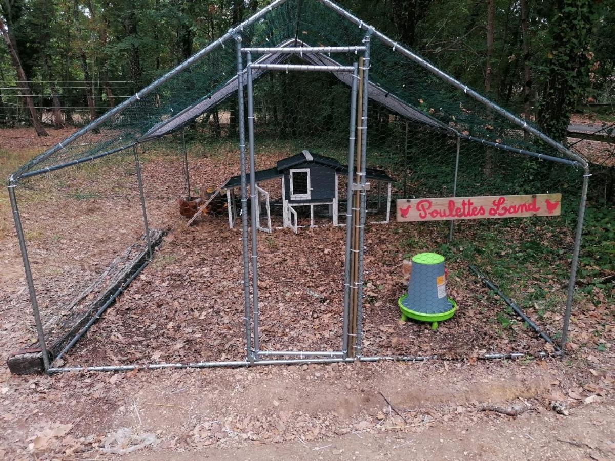 Emplacement Tente Camping Car Saint-Aubin-de-Nabirat Exterior foto